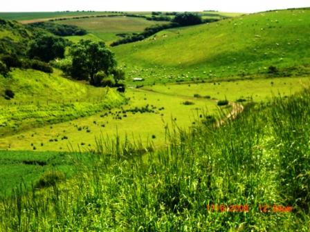 valley view